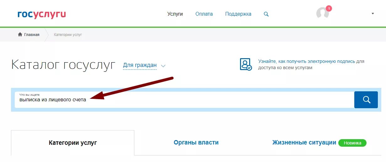 Госуслуги лицевой счет. Выписку из лицевого счета через госуслуги. Выписка из финансового лицевого счета через госуслуги. Выписка финансового лицевого счета квартиры через госуслуги.