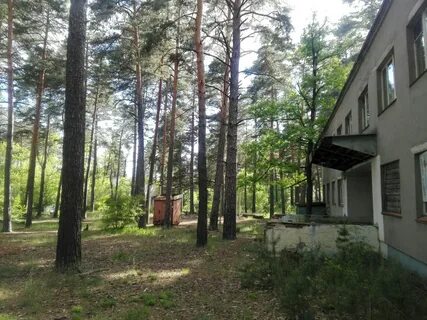 Воронеж сокол