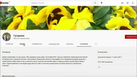 Блог гусариха на дзене последнее видео