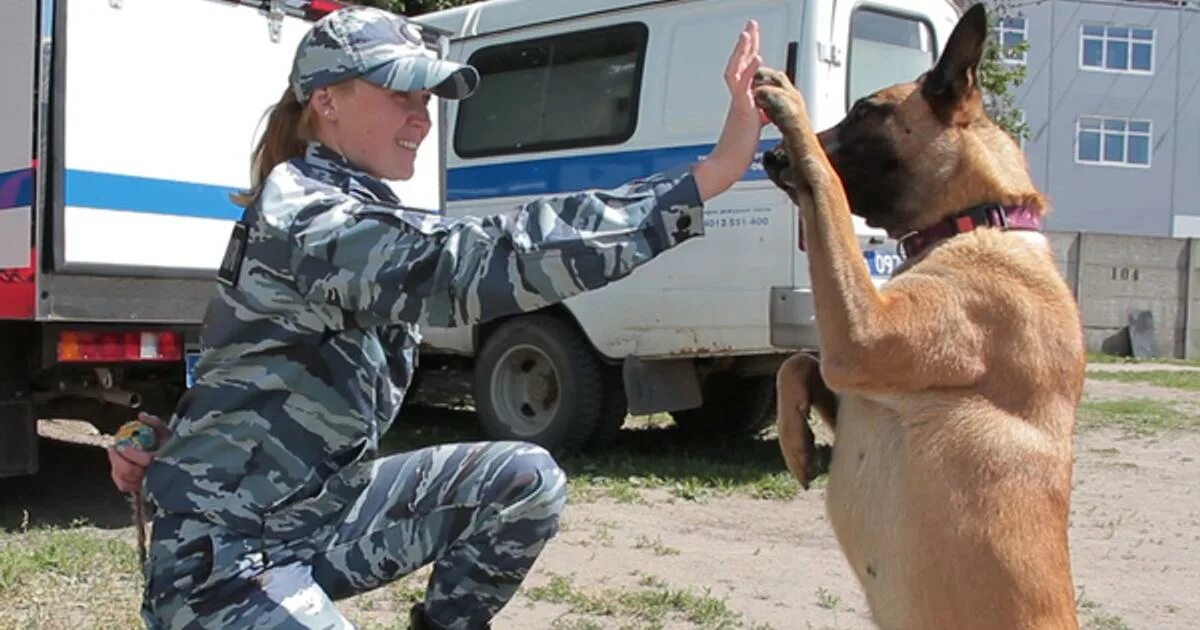 Плюсы кинолога. Кинолог. Полицейский кинолог. Специальность кинолог. Кинологические профессии.