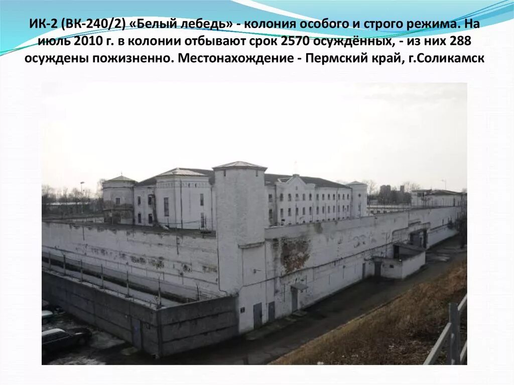 Колония белый лебедь в соликамске. Соликамск тюрьма белый лебедь. Где сидит белых. Колония белый лебедь в соликамске. Пятигорск тюрьма белый лебедь камеры.