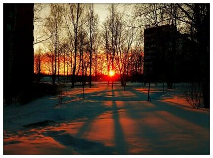 Зима в объективе