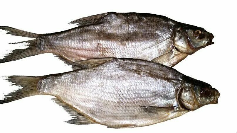 цимлянский лещ. цимлянсктй вяленыйлешь. цимлянский лещ. цимлянский лещ. лещ цимлянский вяленый.