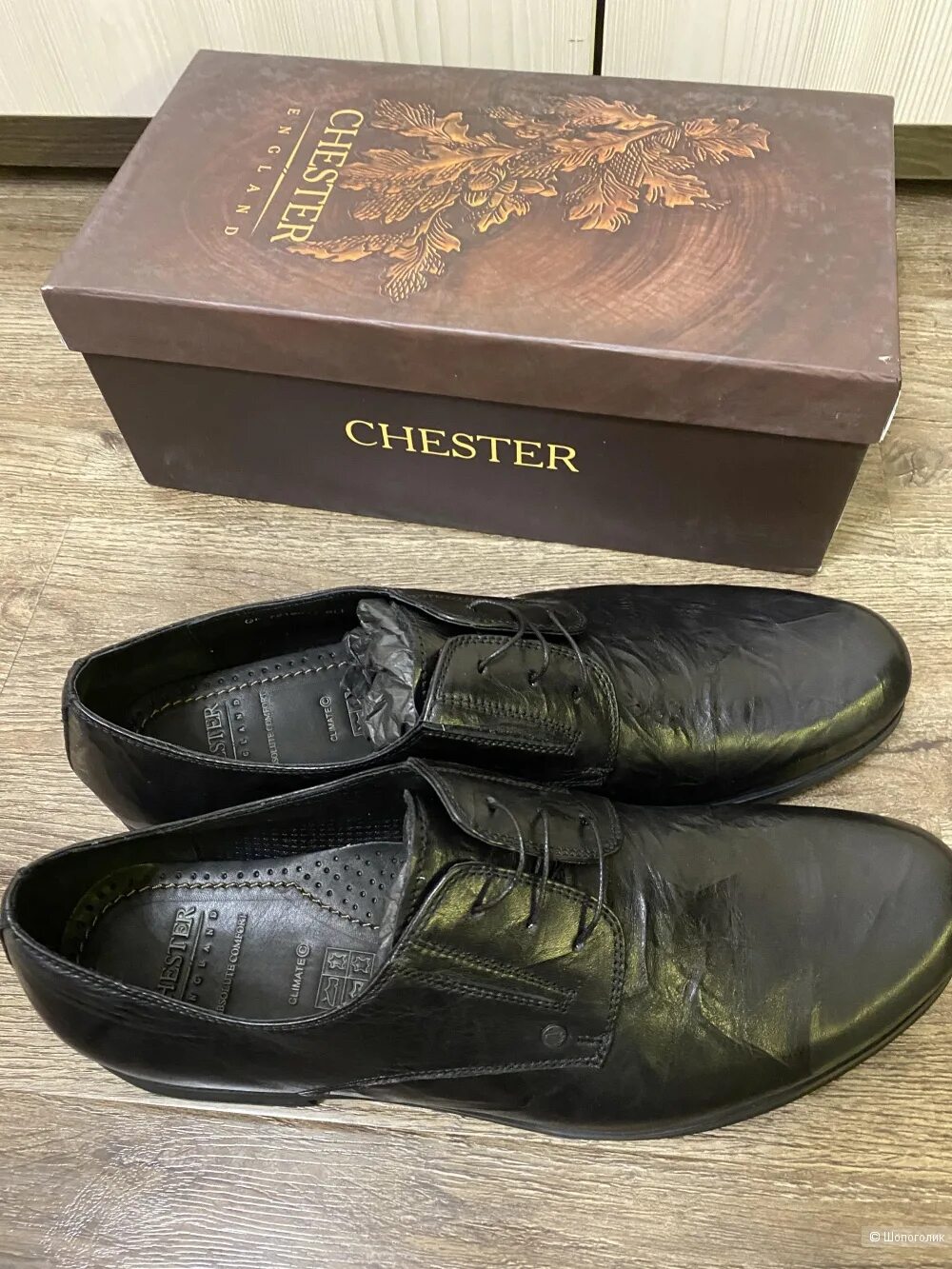 Сапоги chester. Честер обувь новосибирск каталог обуви. Честер обувь новосибирск каталог обуви. Сапоги chester. Честер обувь новосибирск каталог обуви.