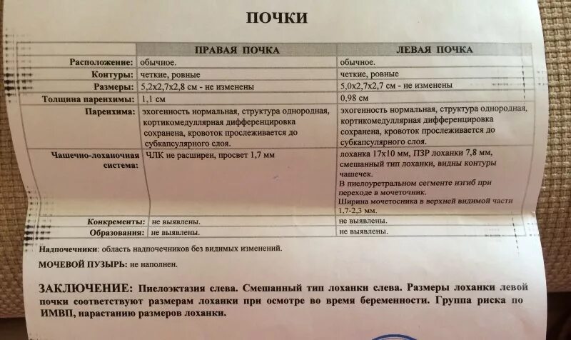 Показатели нормы при УЗИ почек. Размеры почек в норме по УЗИ. УЗИ почек и мочевого пузыря нормальные показатели. Размеры почек у новорожденных норма по УЗИ.