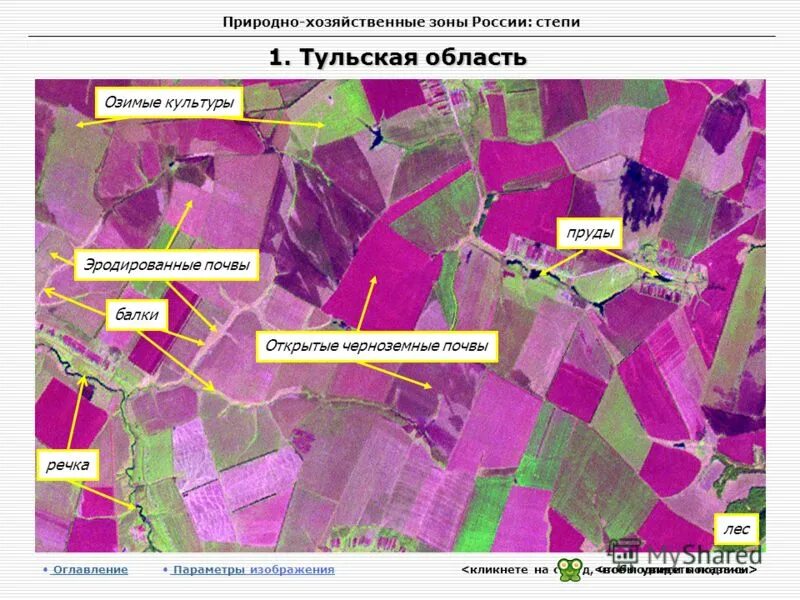 Какая природная зона в тульской области. Почвы Тульской области. Карта почв Тульской области. Почвенная карта Тульской области. Природно хозяйственные зоны.