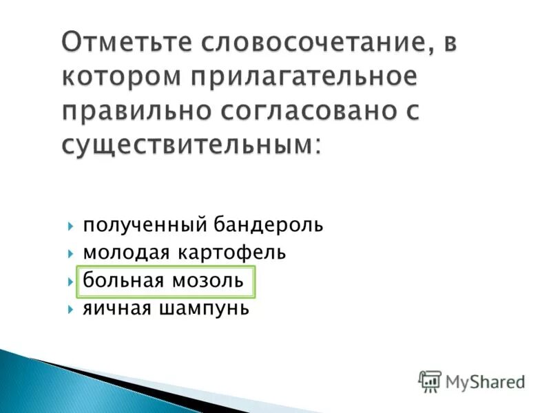 Прилагательное правильно согласовано с существительным