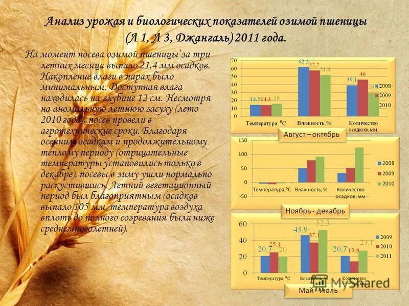 анализ стихотворения урожай твардовский. фонетический разбор слова урожай. урожай анализ. урожайность овощных культур с га. сбор зерна в россии в 1913 году.