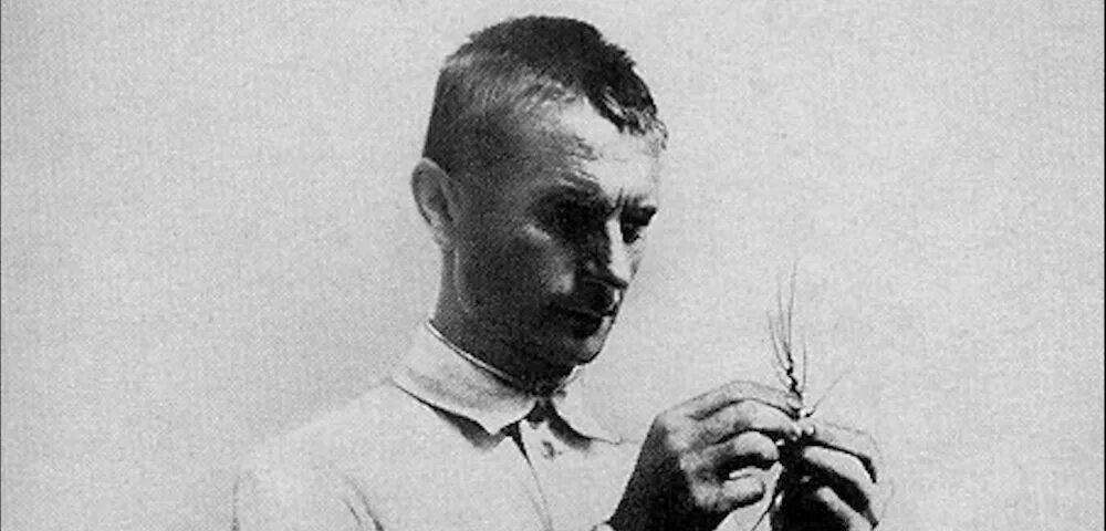 Физик лысенко провел серию экспериментов. Лысенко биолог. лысенко агроном сталина.