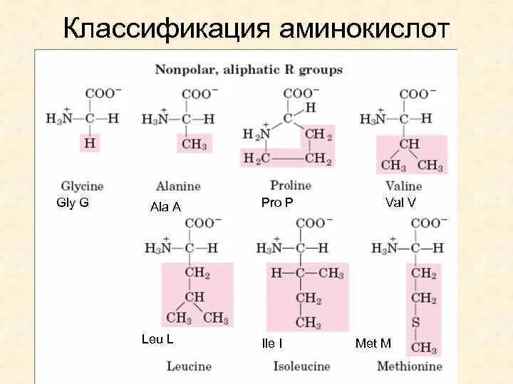 Ионогенная группа аминокислот. Структурная классификация аминокислот. Физиологическая классификация аминокислот. Классификация радикалов аминокислот. Химическая связь аминокислот