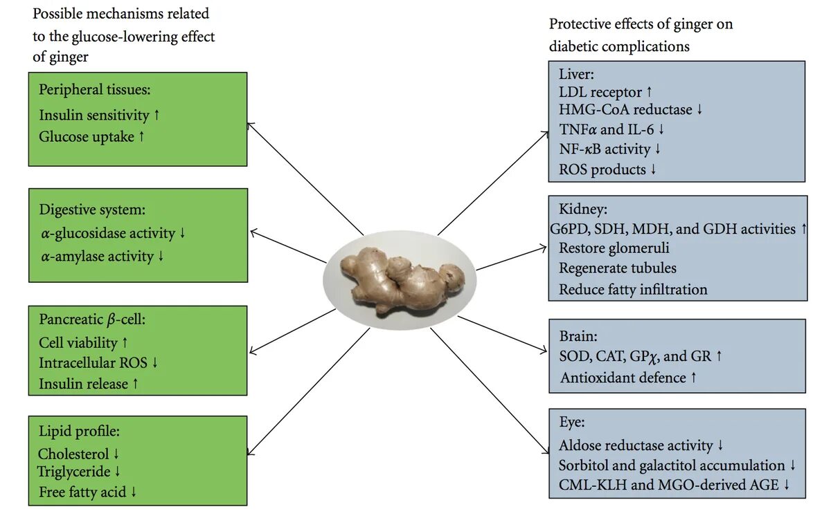 Antioxidant properties