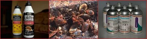 Уксус от клопов