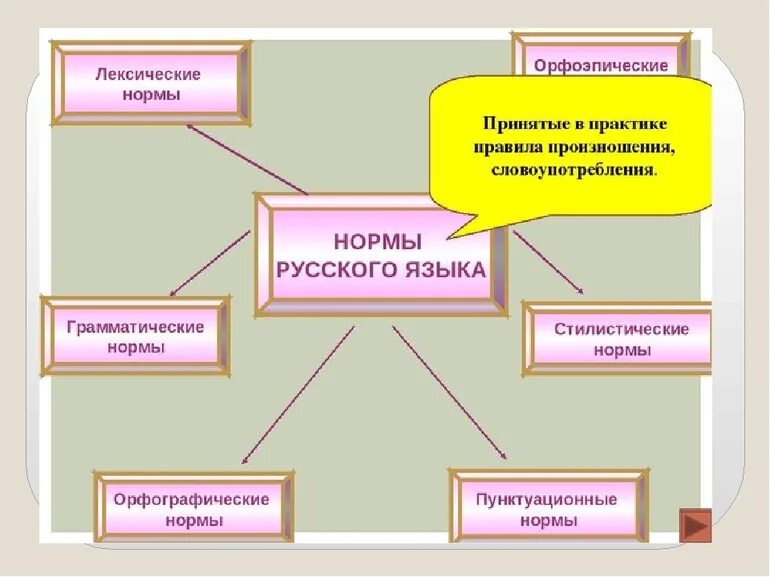 Основные лексические нормы современного литературного языка 10. Основные лексические нормы. Лексические нормы русского языка. Основные лексические нормы русского языка. Лексические нормы русского литературного языка.