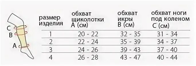 Антропометрические замеры и фиксация результата