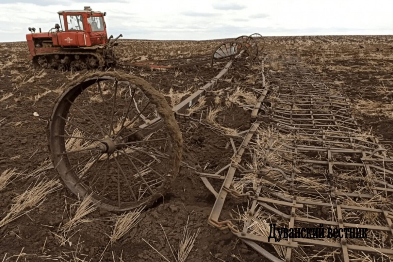 Спк ярославский. Кфх губин а. Спк ярославский. Кфх губин а. Спк ярославский дуванский район.