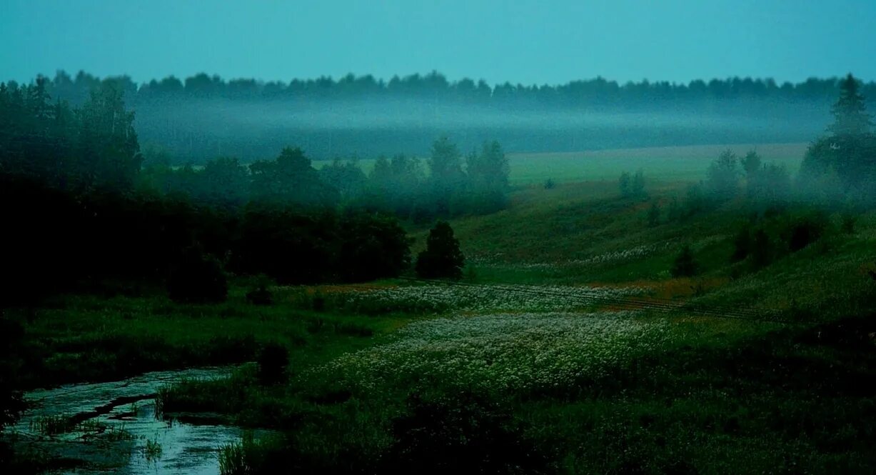 где синий туман. густой синий туман. голубой туман. голубой туман летом. туман у голубого озера.