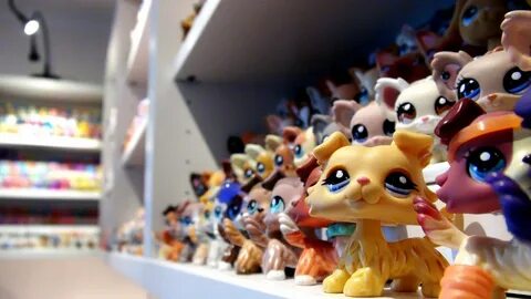 1 pet shop