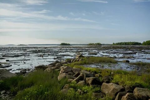 Школа белое море