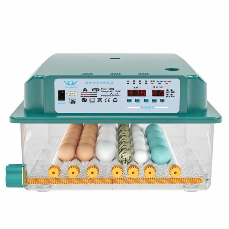 Инкубатор fully automatic egg incubator. Инкубатор для яиц egg incubator qc pass 04. инкубатор на 1000 яиц.