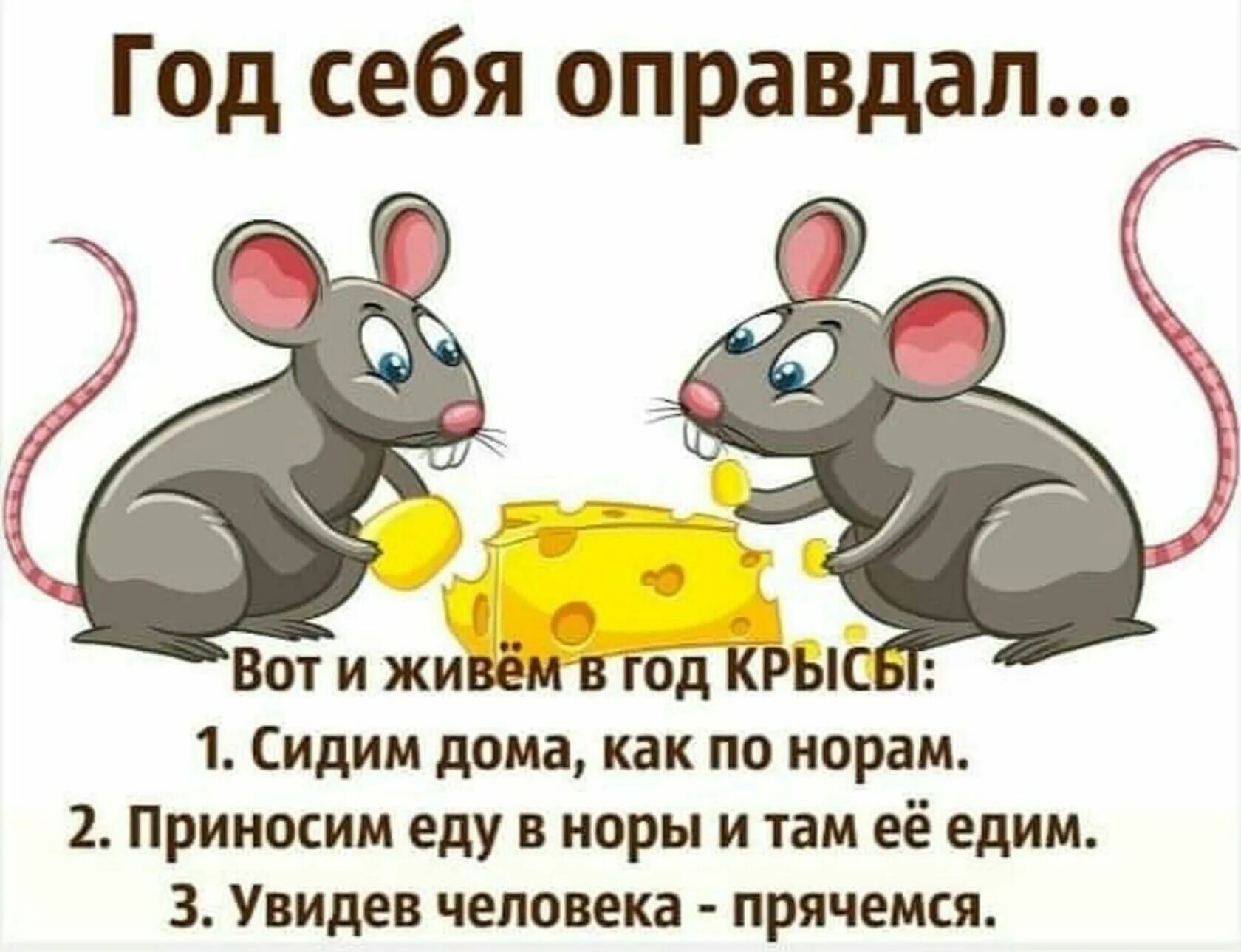 Пин от пользователя Полина на доске надо подумать Животные