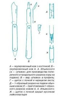 Разрез ножом