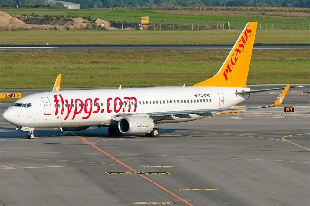 А320 Пегасус. Боинг 738-800. B 738 самолет Боинг 737 800. B738 (a6-ФРС).