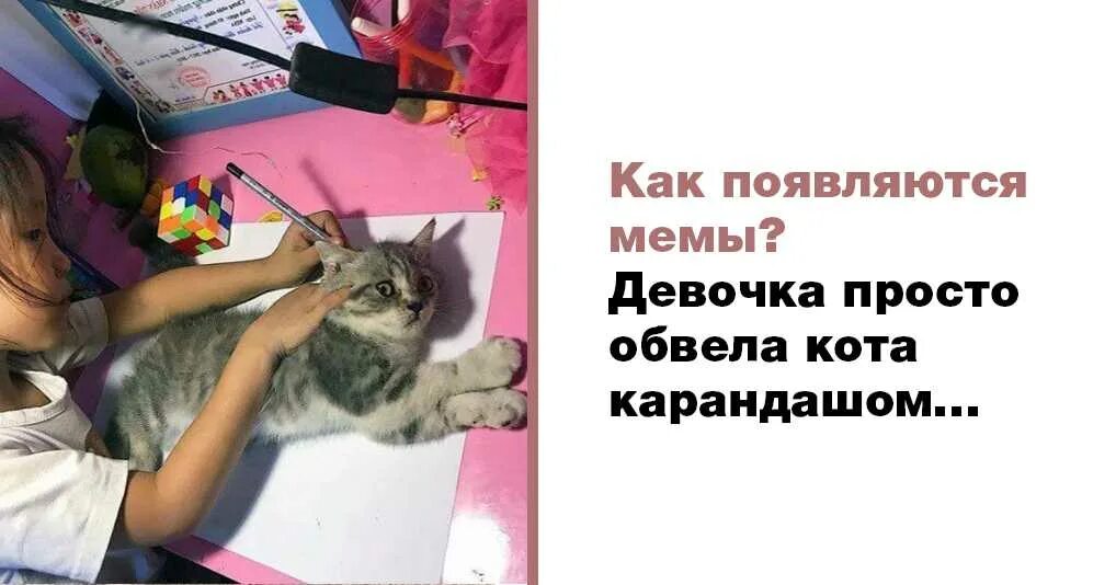 Мем девочка рисует. Девочка обводит кота интернет мем. девочка обводит кота. девочка рисует кота мем. девочка обрисовывает кота.
