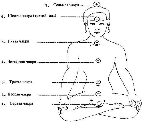 Первая а четвертая и шестая а. Чакры: энергетические центры трансформации Джохари Хариш. Вторая чакра человека. Третья чакра изображение. Чакры человека где расположены.