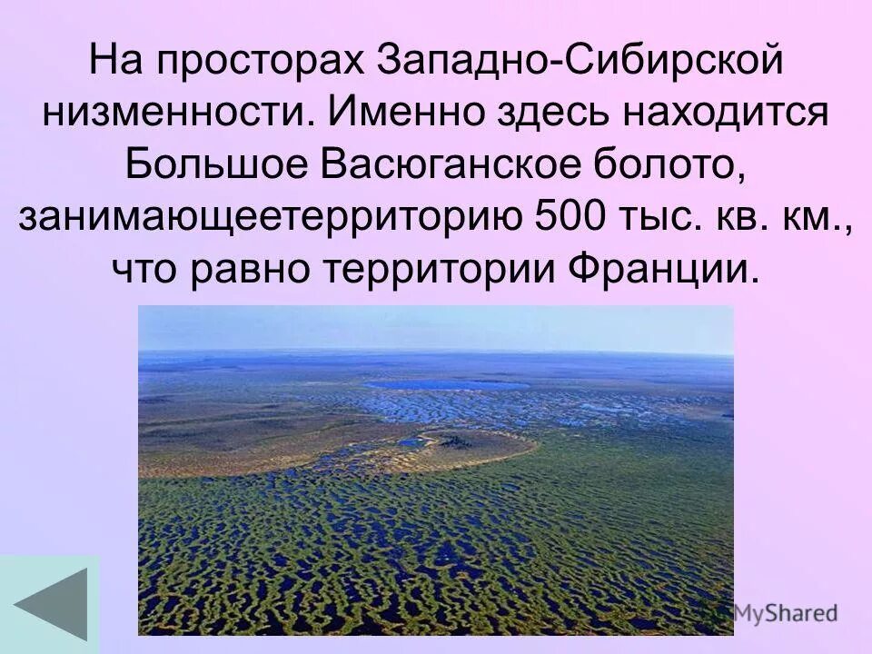 Западная сибирь высота над уровнем моря. Болота Западно сибирской равнины. Западно Сибирская равнина Васюганское болото. Болота Западной Сибири на карте. Болото на Западно сибирской равнине.