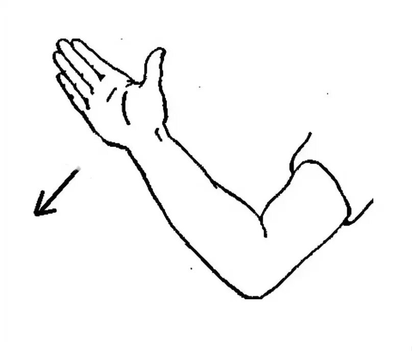 Рука согнута в локте рисунок. Рука раскраска. Согнутые руки. Схематическое изображение руки. Левая рука темнее правой