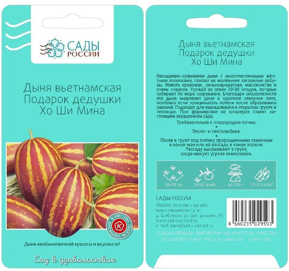 Дыня подарок дедушки хошимина. Дыня вьетнамская подарок дедушки хо. подарок хо ши мина дыня. подарок дедушки хо ши мина дыня семена. вьетнамская дыня дедушки хошимина.
