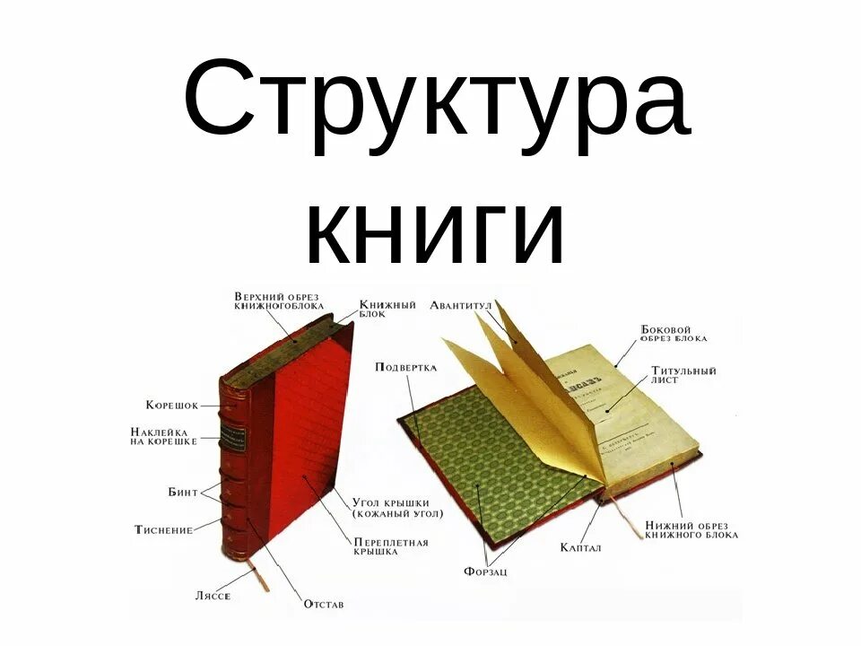 Книга грамотно. Как правильно читать произведения. Описание книги. Как правильно книги или книги. Как правильно книги или книги.
