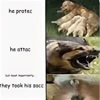 Why are they important