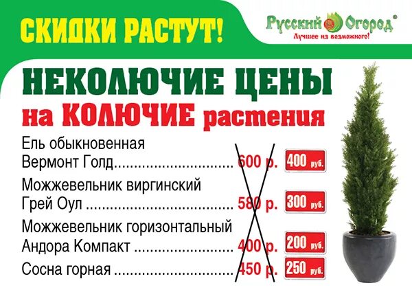 Садовод верея