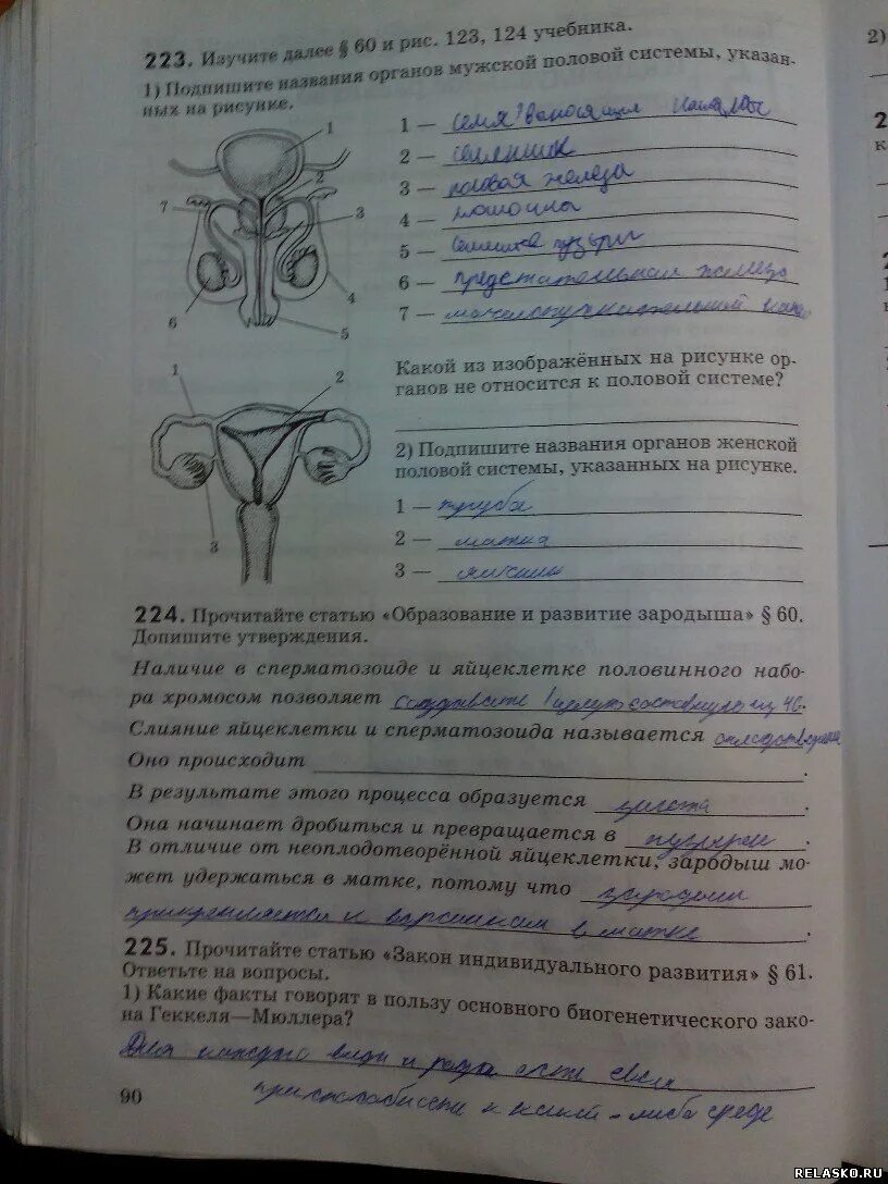 Биология 8 класс 56 страница. Биология 9 класс колесов маш беляев. Беляев. Биология 8 класс рабочая тетрадь колесов 200. Биология 8 класс 56 страница.