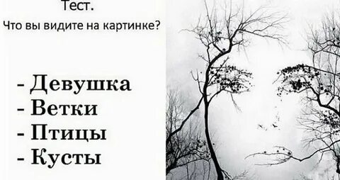 Психологический тест что видишь на картинке