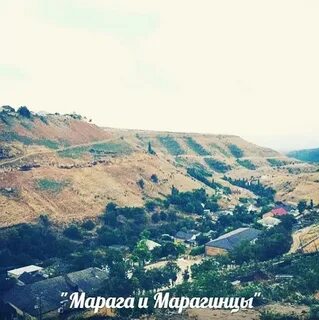 Марага