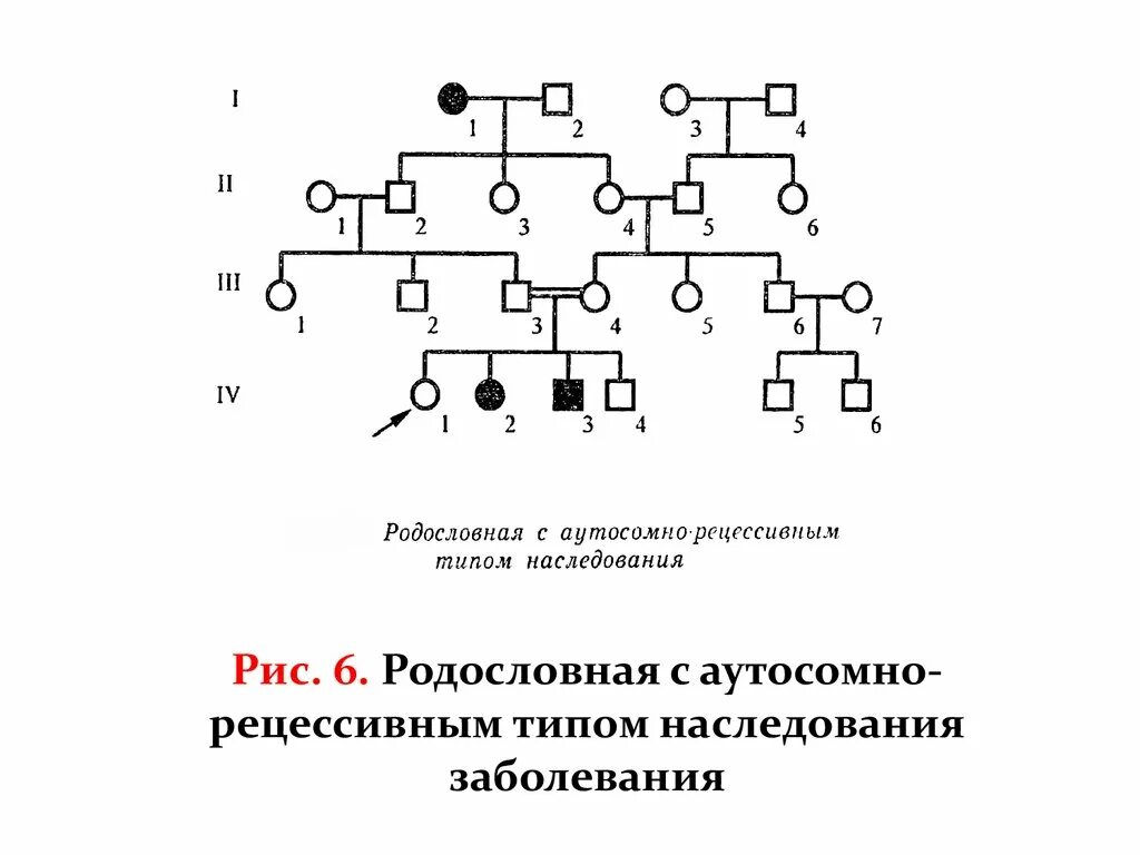 Рецессивно доминантный тип наследования. Родословная с аутосомно-рецессивным типом наследования. Аутосомно-рецессивный Тип родословная. Родословная генетика аутосомно рецессивный. Аутосомно-рецессивный Тип наследования.