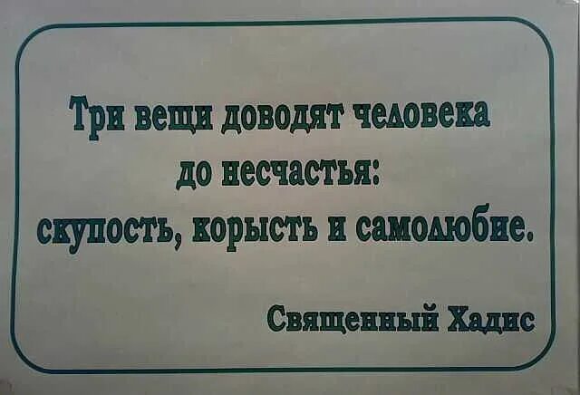 Люди не любят людей жадных. Высказывания про скупость. Высказывания про жадных людей. Высказывания о корысти. Цитаты про скупость.