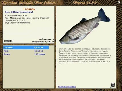 Рыбалка 3 рыбхоз