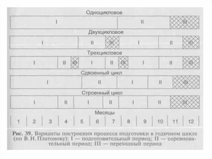 Годичный цикл