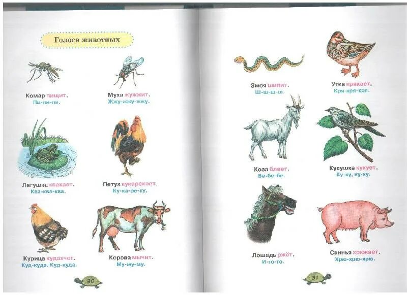 Домашние животные шалаева книга
