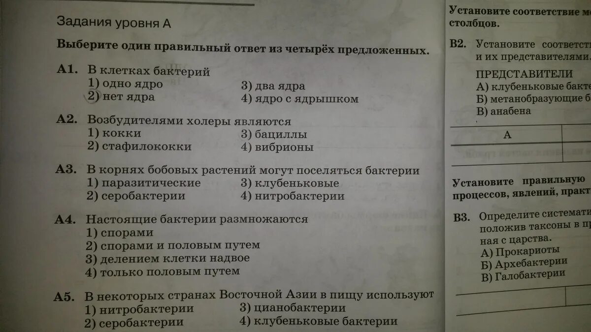 Выберите 1 правильный ответ из 4 предложений. Выберите один правильный ответ из четырёх предложенных. Выберите один правильный ответ из четырёх предложенных первый этап.