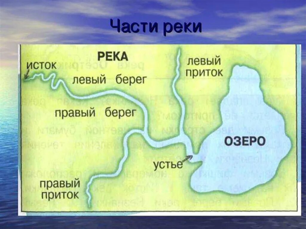 Воды какой реки протекают через. Схема реки Исток русло Устье. Исток приток Устье реки. Устье реки Исток приток окружающий мир. Исток реки Устье реки.