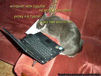 Сиди там