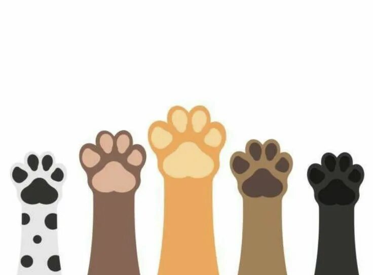 Все лапки в pets go. Лапки мультяшные. кошачьи лапки мультяшные. лапки на белом фоне. кошачья лапа вектор.