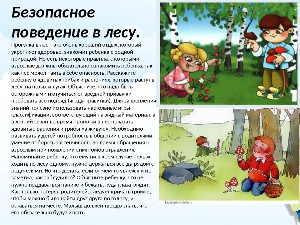 Рассказ как вести себя в лесу. Безопасное поведение на природе. Безопасное поведение в лесу. Правила безопасного поведения на природе. Правила безопасности для детей в лесу летом.