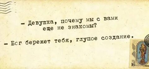 Глупое создание это