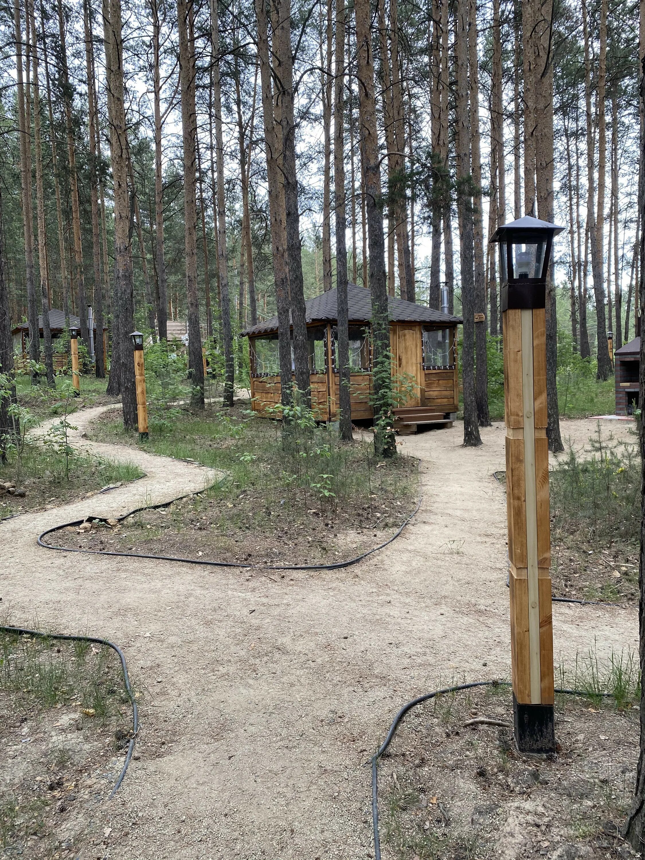 Парк малина арамиль. Лесная галактика арамиль. , 12, арамиль. , 12, арамиль. Лесная галактика сосновая ул.