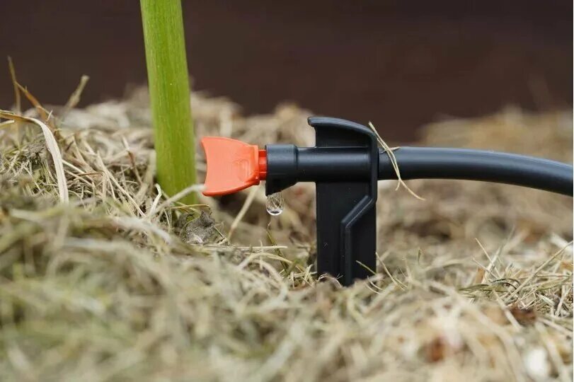 капельный полив жук с регулируемыми капельницами. капельный полив жук с регулируемыми капельницами. жук набор капельного полива от водопровода с таймером на 30 растений. капельный полив жук с регулируемыми капельницами. паутинный клещ на томатах в теплице фото.